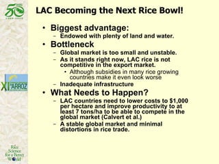 Latin America: The World’s Future Rice Bowl?