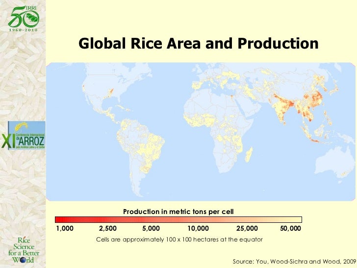 Waywise Global Rice Sustainable Intensification For A Larger Global Rice Bowl – YSREG