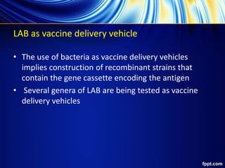 LAB as vaccine delivery vehicle
• The use of bacteria as vaccine delivery vehicles
implies construction of recombinant strains that
contain the gene cassette encoding the antigen
• Several genera of LAB are being tested as vaccine
delivery vehicles
 