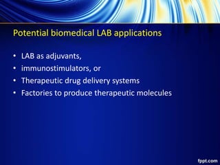 Potential biomedical LAB applications
• LAB as adjuvants,
• immunostimulators, or
• Therapeutic drug delivery systems
• Factories to produce therapeutic molecules
 
