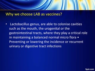 Why we choose LAB as vaccines?
• Lactobacillus genus, are able to colonise cavities
such as the mouth, the urogenital or the
gastrointestinal tracts, where they play a critical role
in maintaining a balanced normal micro flora •
Preventing or lowering the incidence or recurrent
urinary or digestive tract infections
 
