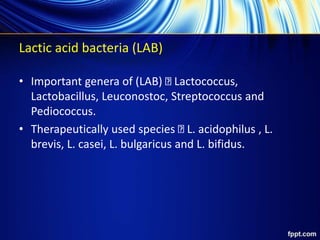 Lactic acid bacteria (lab)