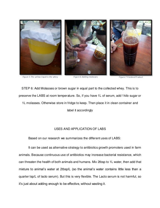 Lactic Acid Bacteria Serum (LABS)