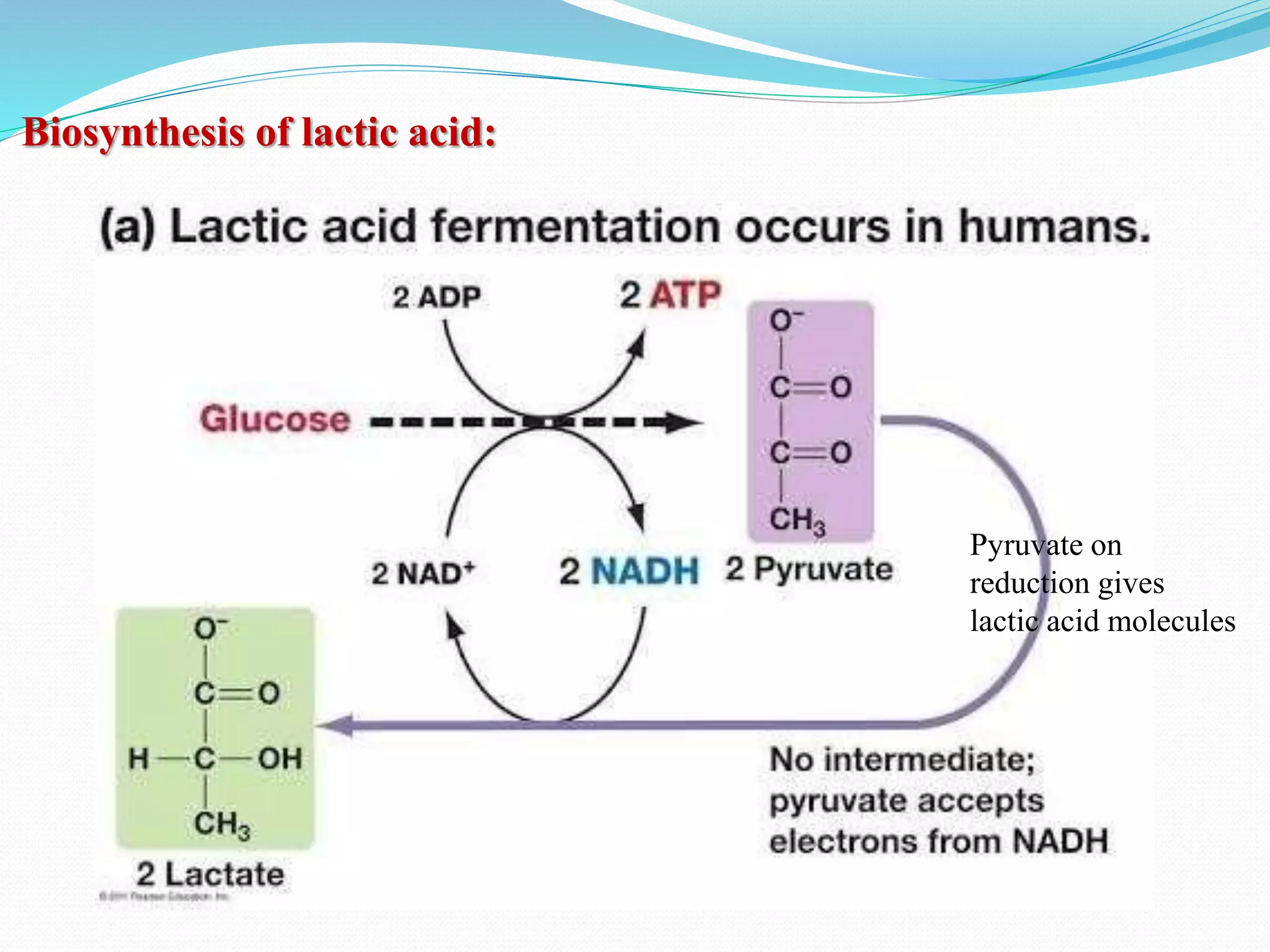 Lactic acid, cheese, glutamic production