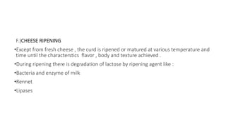 F.)CHEESE RIPENING
•Except from fresh cheese , the curd is ripened or matured at various temperature and
time until the characterstics flavor , body and texture achieved .
•During ripening there is degradation of lactose by ripening agent like :
•Bacteria and enzyme of milk
•Rennet
•Lipases
 