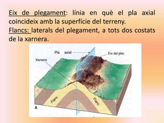 Eix de plegament: línia en què el pla axial 
coincideix amb la superfície del terreny. 
Flancs: laterals del plegament, a tots dos costats 
de la xarnera. 
 