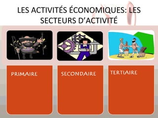 LES ACTIVITÉS ÉCONOMIQUES: LES
SECTEURS D’ACTIVITÉ

 