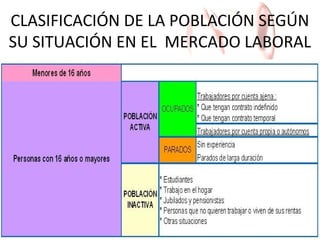 CLASIFICACIÓN DE LA POBLACIÓN SEGÚN
SU SITUACIÓN EN EL MERCADO LABORAL

 
