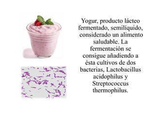 Yogur, producto lácteo
fermentado, semilíquido,
 considerado un alimento
      saludable. La
     fermentación se
  consigue añadiendo a
   ésta cultivos de dos
 bacterias, Lactobacillus
      acidophilus y
      Streptococcus
      thermophilus.
 