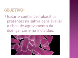  Isolar e contar Lactobacillus
presentes na saliva para avaliar
o risco de agravamento da
doença cárie no indivíduo.
 