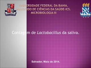 Contagem de Lactobacillus da saliva.
Salvador, Maio de 2014.
 