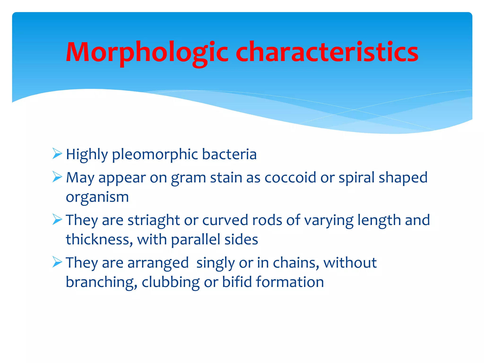 Lactobacillus | PPTX