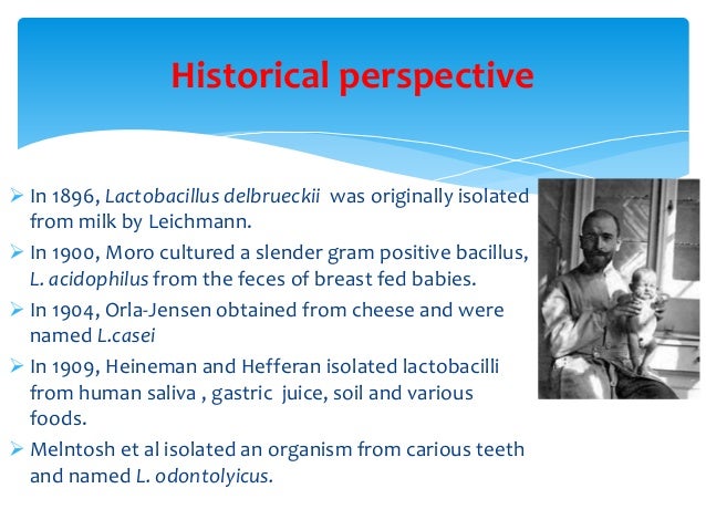 Lactobacillus