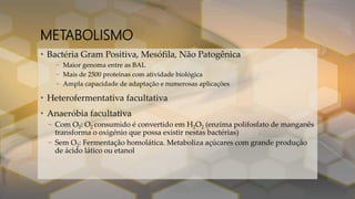 METABOLISMO
• Bactéria Gram Positiva, Mesófila, Não Patogênica
– Maior genoma entre as BAL
– Mais de 2500 proteínas com atividade biológica
– Ampla capacidade de adaptação e numerosas aplicações
• Heterofermentativa facultativa
• Anaeróbia facultativa
– Com O2: O2 consumido é convertido em H2O2 (enzima polifosfato de manganês
transforma o oxigénio que possa existir nestas bactérias)
– Sem O2: Fermentação homolática. Metaboliza açúcares com grande produção
de ácido lático ou etanol
 
