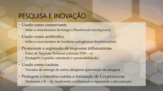 PESQUISA E INOVAÇÃO
• Usado como conservante
– Inibe o crescimentos de fungos (Rhodotorula mucilaginosa)
• Usado como antibiótico
– Inibe o crescimentos de bactérias patogênicas (bacteriocinas)
• Promovem a supressão de respostas inflamatórias
– Fator de Neurose Tumoral (citocina TNF – α)
– Protegem o epitélio intestinal (< permeabilidade)
• Usado como vacinas
– Veículos de entrega de certos alérgenos (prevenção de alergias)
• Protegem o intestino contra a instalação do Cryptococcus
– Destroem a IL - 1β, resolvendo a inflamação e reparando a descamação
 