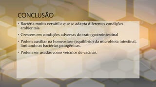 CONCLUSÃO
• Bactéria muito versátil e que se adapta diferentes condições
ambientais.
• Crescem em condições adversas do trato gastrointestinal
• Podem auxiliar na homeostase (equilíbrio) da microbiota intestinal,
limitando as bactérias patogênicas.
• Podem ser usadas como veículos de vacinas.
 