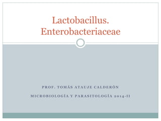 PROF. TOMÁS ATAUJE CALDERÓN 
MICROBIOLOGÍA Y PARASITOLOGÍA 2014-II 
Lactobacillus. Enterobacteriaceae  
