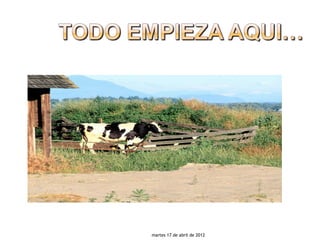 martes 17 de abril de 2012
 