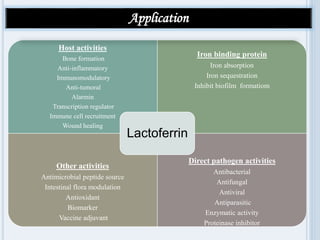 Host activities
Bone formation
Anti-inflammatory
Immunomodulatory
Anti-tumoral
Alarmin
Transcription regulator
Immune cell recruitment
Wound healing
Iron binding protein
Iron absorption
Iron sequestration
Inhibit biofilm formatiom
Other activities
Antimicrobial peptide source
Intestinal flora modulation
Antioxidant
Biomarker
Vaccine adjuvant
Direct pathogen activities
Antibacterial
Antifungal
Antiviral
Antiparasitic
Enzymatic activity
Proteinase inhibitor
Lactoferrin
Application
 