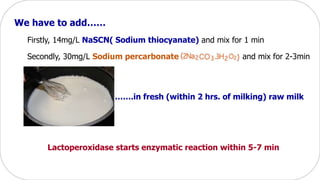 We have to add……
Firstly, 14mg/L NaSCN( Sodium thiocyanate) and mix for 1 min
Secondly, 30mg/L Sodium percarbonate and mix for 2-3min
…….in fresh (within 2 hrs. of milking) raw milk
Lactoperoxidase starts enzymatic reaction within 5-7 min
 