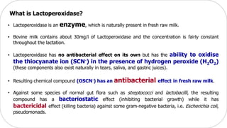 What is Lactoperoxidase?
• Lactoperoxidase is an enzyme, which is naturally present in fresh raw milk.
• Bovine milk contains about 30mg/l of Lactoperoxidase and the concentration is fairly constant
throughout the lactation.
• Lactoperoxidase has no antibacterial effect on its own but has the ability to oxidise
the thiocyanate ion (SCN-) in the presence of hydrogen peroxide (H2O2)
(these components also exist naturally in tears, saliva, and gastric juices).
• Resulting chemical compound (OSCN-) has an antibacterial effect in fresh raw milk.
• Against some species of normal gut flora such as streptococci and lactobacilli, the resulting
compound has a bacteriostatic effect (inhibiting bacterial growth) while it has
bactericidal effect (killing bacteria) against some gram-negative bacteria, i.e. Escherichia coli,
pseudomonads.
 