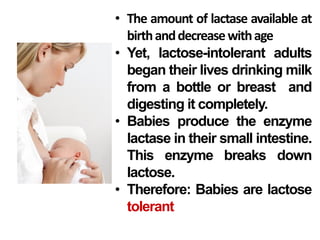 • The amount of lactase available at
birthanddecreasewithage
• Yet, lactose-intolerant adults
began their lives drinking milk
from a bottle or breast and
digesting it completely.
• Babies produce the enzyme
lactase in their small intestine.
This enzyme breaks down
lactose.
• Therefore: Babies are lactose
tolerant
 