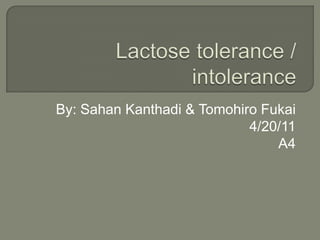 Lactose tolerance / intolerance By: SahanKanthadi & Tomohiro Fukai 4/20/11 A4 