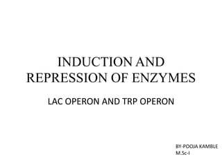 INDUCTION AND
REPRESSION OF ENZYMES
LAC OPERON AND TRP OPERON

BY-POOJA KAMBLE
M.Sc-I

 