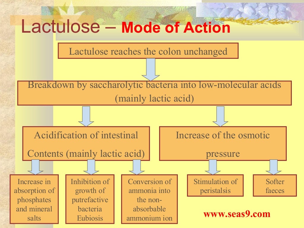 Lactulose The physiological bowel and stool regulator