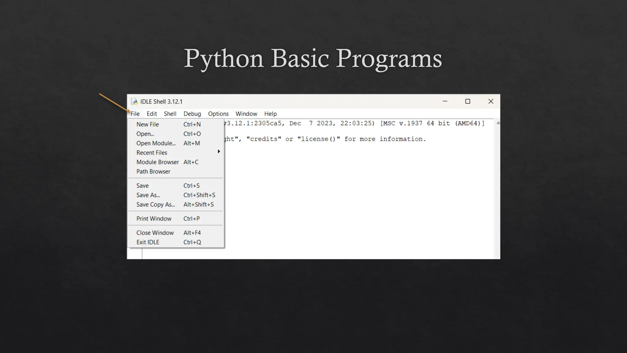 Python Basic Programs
 