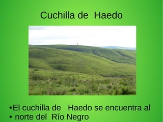 Cuchilla de Haedo
● El cuchilla de Haedo se encuentra al
● norte del Río Negro
 