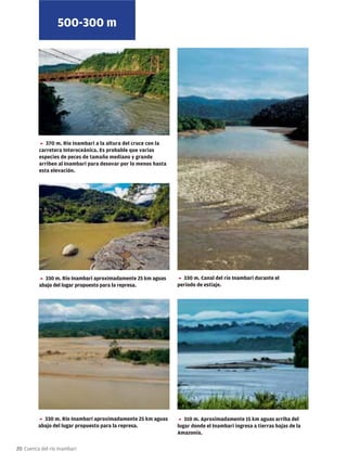 la_cuenca_del_rio_inambari.pdf