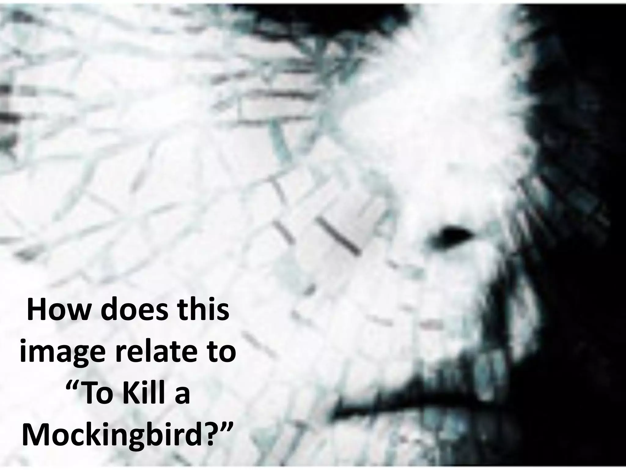 How does this
image relate to
“To Kill a
Mockingbird?”

 