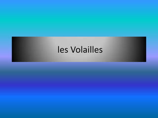 les Volailles
 