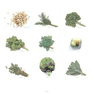 Avoine       Aneth           Persil




 Basilic                Menthe     Ail




Thym              Artichaut      Sauge




                - 6 -
 