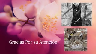 Gracias Por su Atención.
 