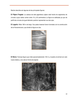 Reiche describe así algunas de las principales figuras:


El Pájaro Fragata: La cabeza de este gigantesco pájaro está hecha de segmentos de
círculos cuyos radios varían entre 10 y 20 centímetros La figura es estilizada ya que de
perfil dos círculos de igual diámetro podrían representar sus dos ojos.


El Lagarto: Mide 188 m de largo. Sus patas traseras fueron borradas con la construcción
de la Panamericana, que dividió la figura en dos.




El Mono: Famosa figura que mide aproximadamente 135 m y muestra al animal con solo
nueve dedos y una cola en forma de espiral.




                                                                                     14
 