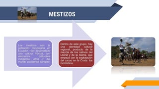 MESTIZOS
Los mestizos son la
población mayoritaria en
Ecuador. Han desarrollado
una cultura híbrida, con
elementos culturales
indígenas, afros y del
mundo occidental europeo.
Dentro de este grupo, hay
una identidad cultural
regional, producto de la
mezcla de los nativos del
Litoral y de la Sierra, que
empezó con la explotación
del cacao en la Costa: los
montubios.
 