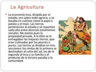 La Agricultura La economía Inca, dirigida por el estado, era sobre todo agraria, y se basaba en cultivos como la papa o patata y el maíz. Las tierras pertenecían al estado y se repartían cada año entre diversos estamentos sociales. No existía pues la propiedad privada. A la élite se le entregaban las mejores tierras, que eran cultivadas por los peones o purics. Las tierras se dividian en tres secciones: las rentas de la primera se destinaban al culto del sol, las de la segunda al Inca y su familia y el producto de la tercera pasaba a la comunidad.  
