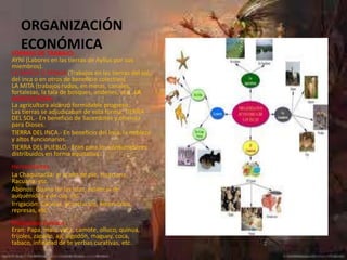 ORGANIZACIÓN
  ECONÓMICA
FORMAS DE TRABAJO:
AYNI (Labores en las tierras de Ayllus por sus
miembros).
LA MINCA O MINGA (Trabajos en las tierras del sol,
del inca o en otros de beneficio colectivo).
LA MITA (trabajos rudos, en minas, canales,
fortalezas, la tala de bosques, andenes, etc). LA
AGRICULTURA:
La agricultura alcanzó formidable progreso:
Las tierras se adjudicaban de esta forma: TIERRA
DEL SOL.- En beneficio de Sacerdotes y ofrenda
para Dioses.
TIERRA DEL INCA.- En beneficio del Inca, la nobleza
y altos funcionarios.
TIERRA DEL PUEBLO.- Eran para los consumidores
distribuidos en forma equitativa.
Herramientas
La Chaquitaclla, el arado de pie, Huactana,
Racuana. etc.
Abonos: Guano de las islas, estiércol de
auquénidos y de cuy, etc.
Irrigación: Canales, acueductos, reservorios,
represas, etc.
Principales Cultivos
Eran: Papa, maíz, yuca, camote, olluco, quinua,
frijoles, zapallo, ají, algodón, maguey, coca,
tabaco, infinidad de te yerbas curativas, etc.
 