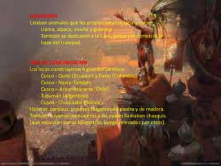 GANADERÍA
Criaban animales que les proporcionaban lana y carne:
     Llama, alpaca, vicuña y guanaco.
     También se dedicaron a la Caza, pesca y el comercio (a
     base del trueque).


VÍAS DE COMUNICACIÓN
Los Incas construyeron 4 grandes caminos:
     Cusco - Quito (Ecuador) y Pasto (Colombia).
     Cusco - Nazca-Tumbes.
     Cusco – Arica–Atacama (Chile).
     Tucumán (Argentina).
     Cusco - Chuquiaba (Bolivia).
Hicieron caminos, puentes colgantes de piedra y de madera.
También tuvieron mensajeros a los cuales llamaban chasquis
(que recorrían varios kilómetros. Luego relevados por otros).
 
