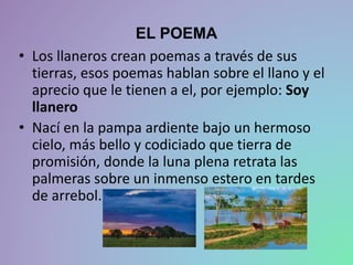 EL POEMA
• Los llaneros crean poemas a través de sus
tierras, esos poemas hablan sobre el llano y el
aprecio que le tienen a el, por ejemplo: Soy
llanero
• Nací en la pampa ardiente bajo un hermoso
cielo, más bello y codiciado que tierra de
promisión, donde la luna plena retrata las
palmeras sobre un inmenso estero en tardes
de arrebol.
 