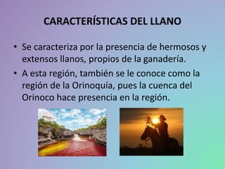 CARACTERÍSTICAS DEL LLANO
• Se caracteriza por la presencia de hermosos y
extensos llanos, propios de la ganadería.
• A esta región, también se le conoce como la
región de la Orinoquía, pues la cuenca del
Orinoco hace presencia en la región.
 