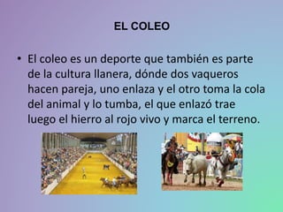 EL COLEO
• El coleo es un deporte que también es parte
de la cultura llanera, dónde dos vaqueros
hacen pareja, uno enlaza y el otro toma la cola
del animal y lo tumba, el que enlazó trae
luego el hierro al rojo vivo y marca el terreno.
 