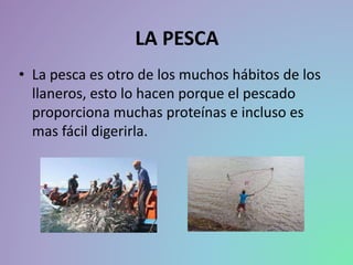 LA PESCA
• La pesca es otro de los muchos hábitos de los
llaneros, esto lo hacen porque el pescado
proporciona muchas proteínas e incluso es
mas fácil digerirla.
 