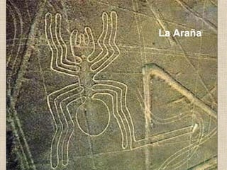 La Araña

 