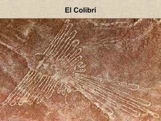 El Colibrí

 