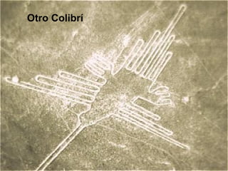 Otro Colibrí

 