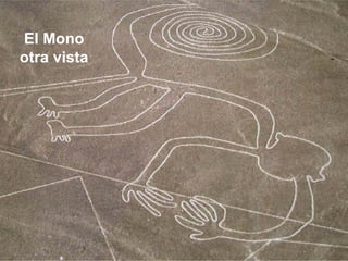 El Mono
otra vista

 