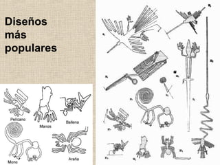 Diseños
más
populares

 